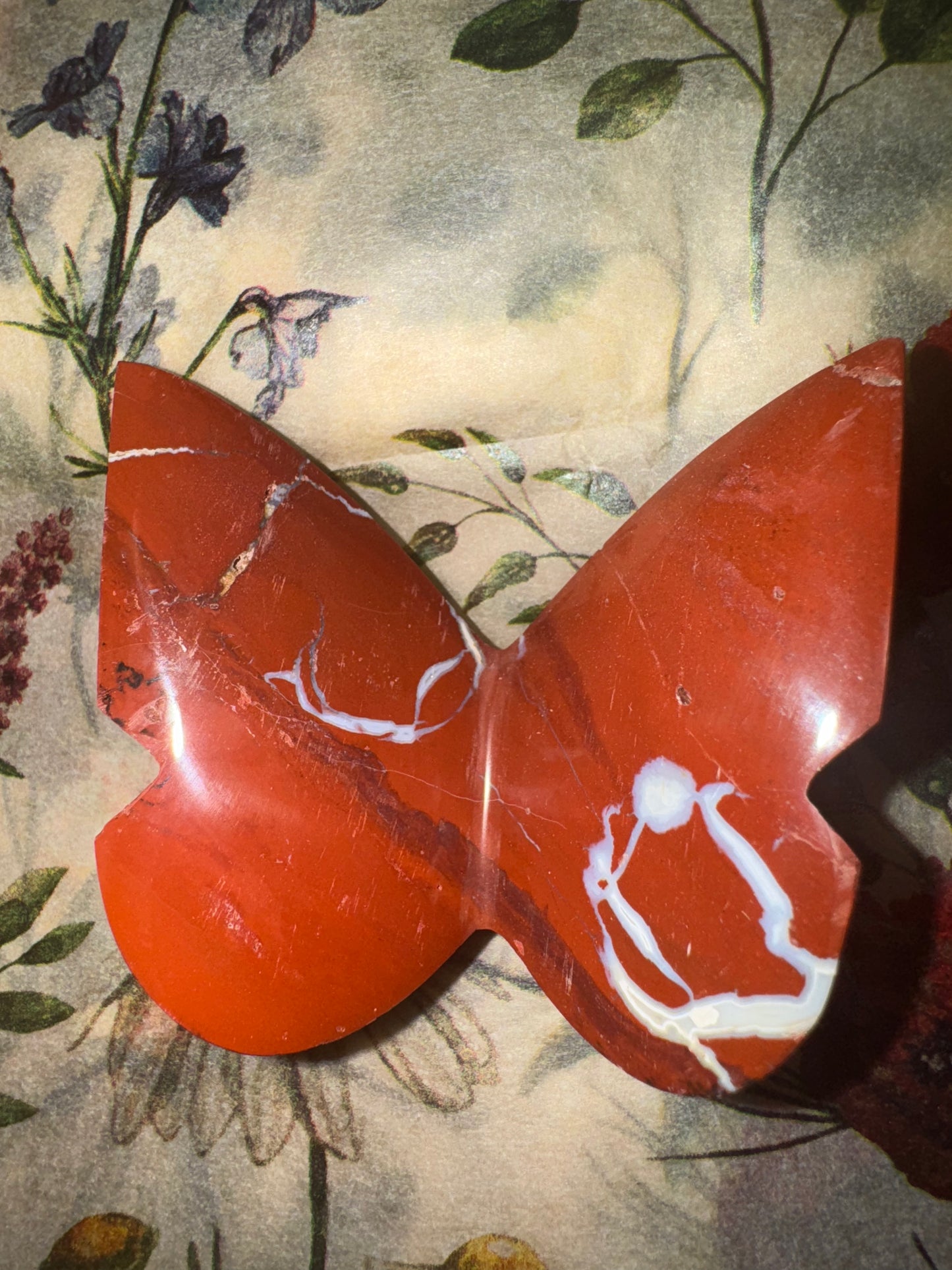 Red Jasper Bitterfly