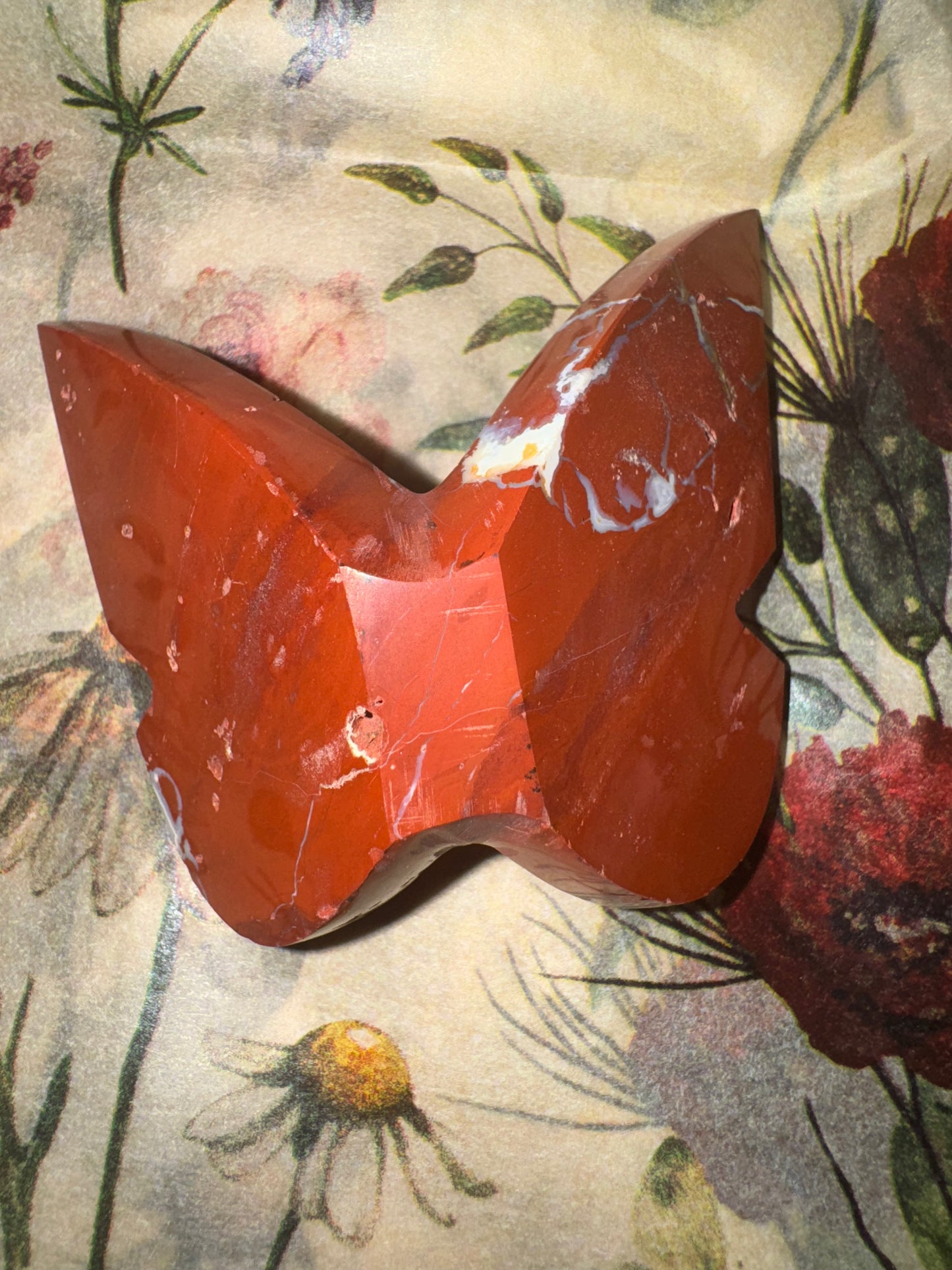 Red Jasper Bitterfly