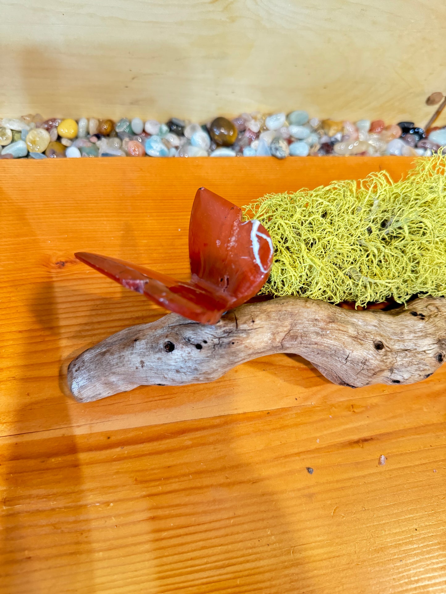 Beautiful agate and Jasper 3D butterflies on drift wood from the Montana.