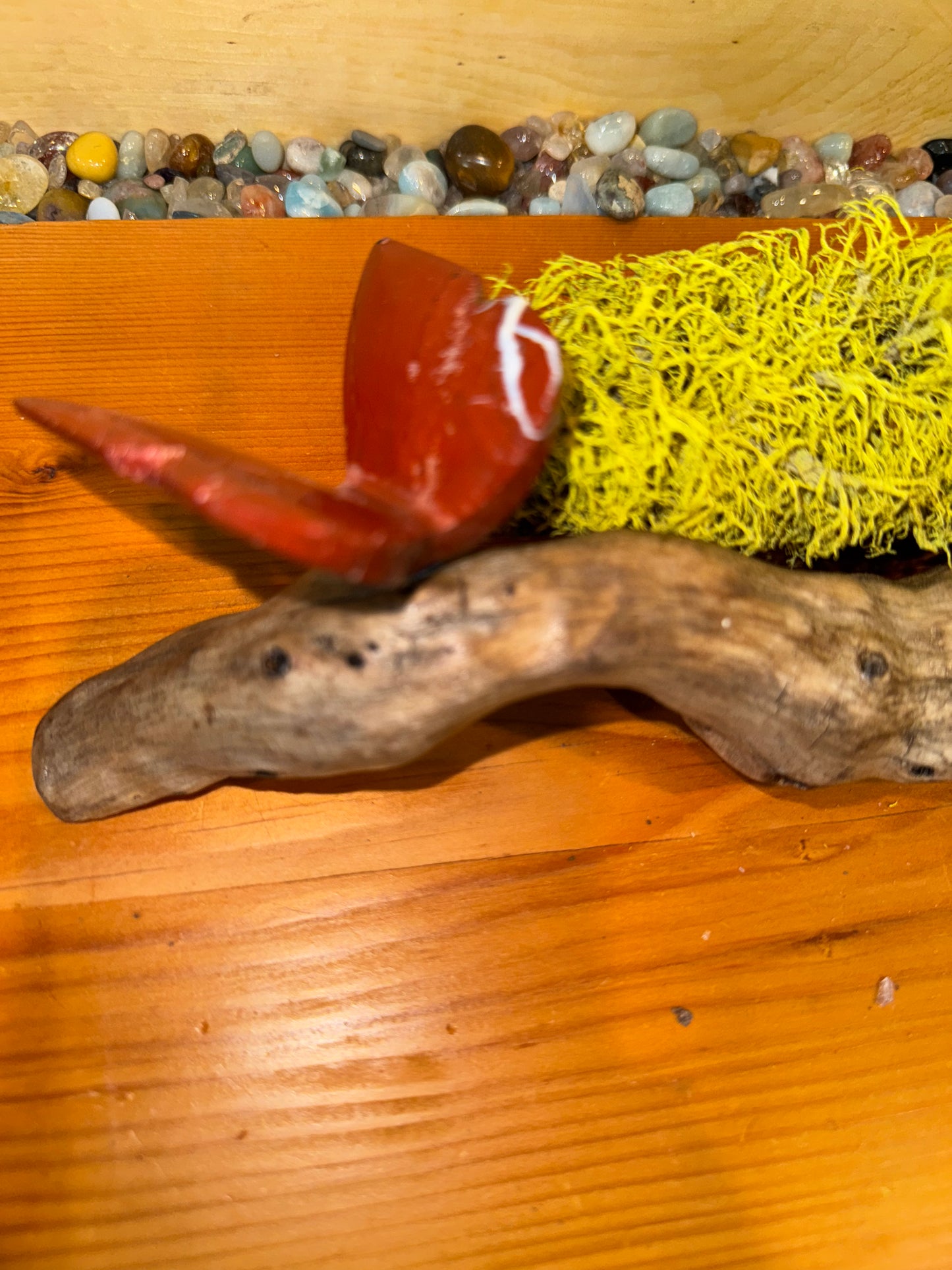 Beautiful agate and Jasper 3D butterflies on drift wood from the Montana.