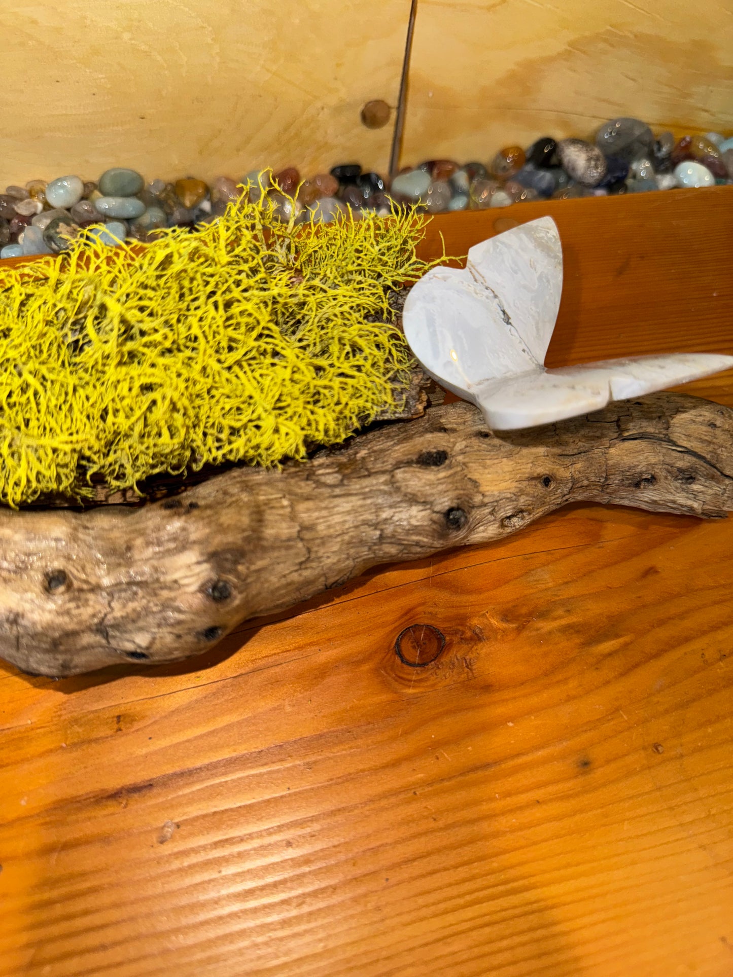 Beautiful agate and Jasper 3D butterflies on drift wood from the Montana.