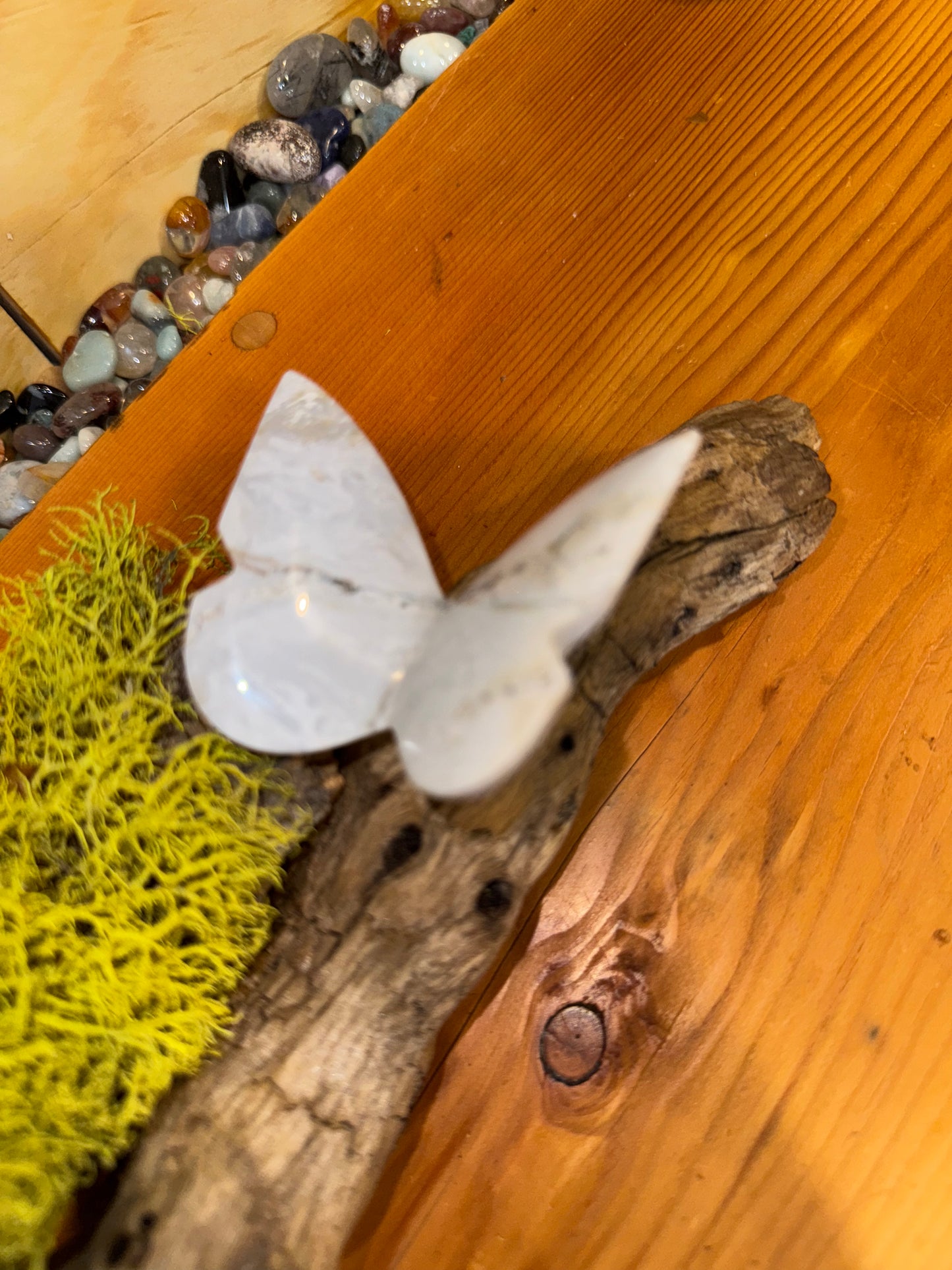 Beautiful agate and Jasper 3D butterflies on drift wood from the Montana.
