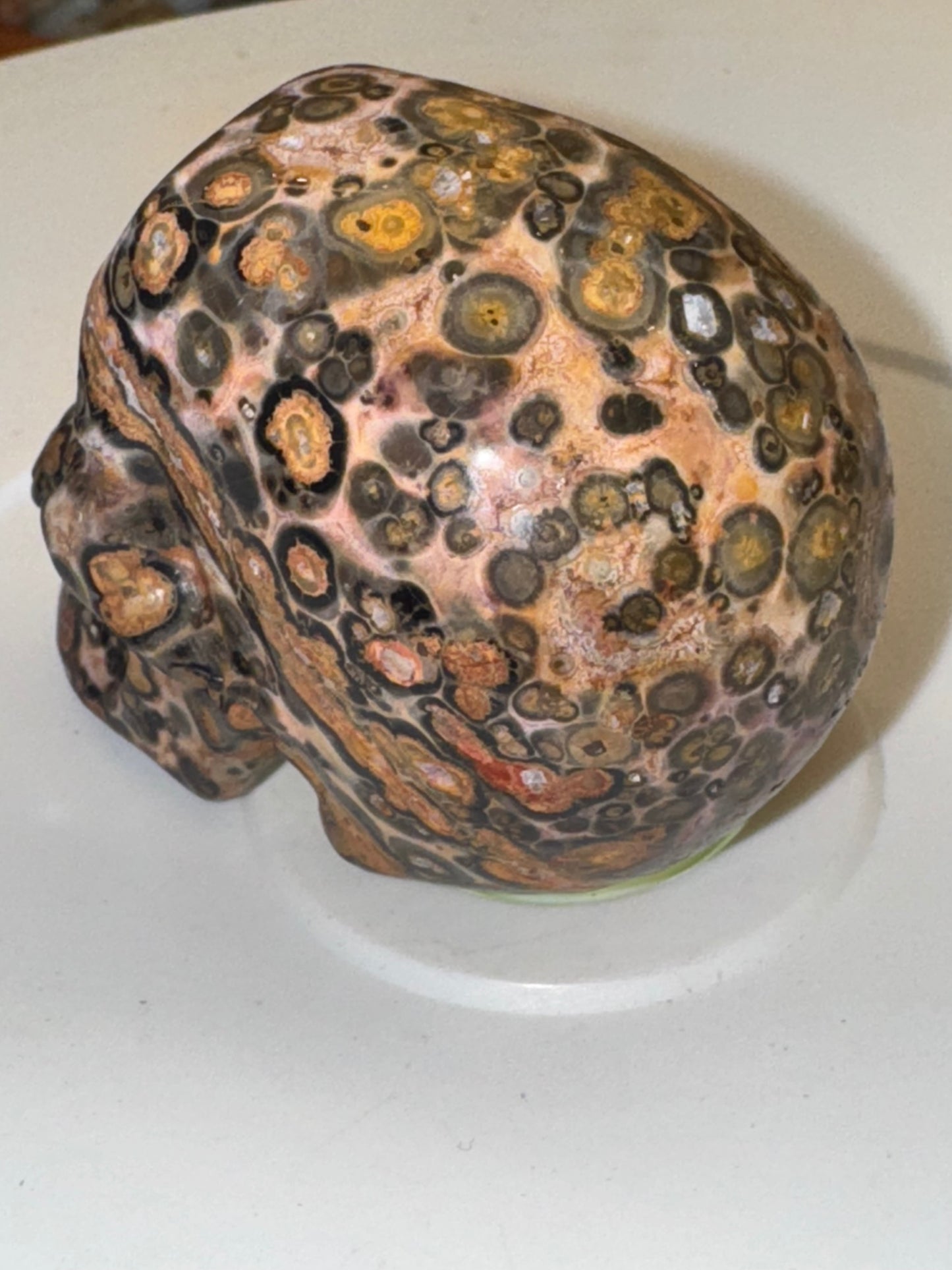 Leopard skin Jasper