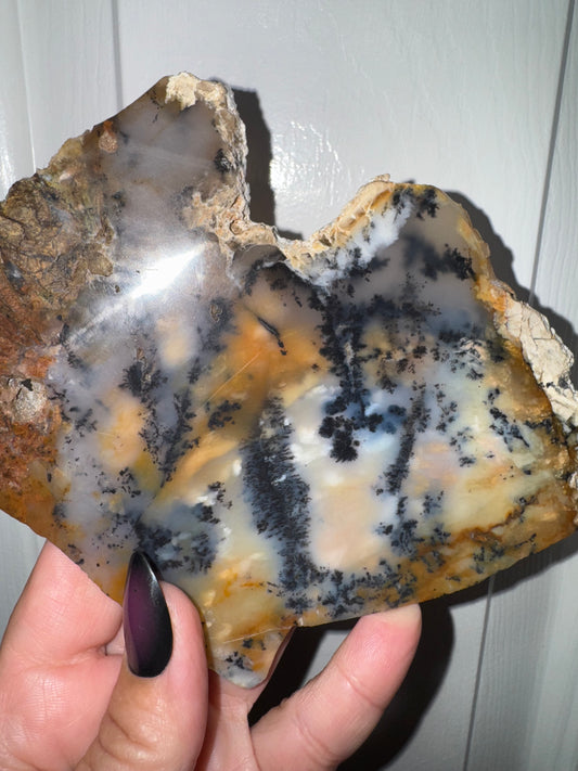 Dendritic polished agate slab
