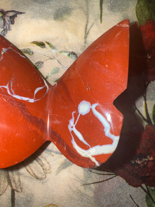 Red Jasper Bitterfly