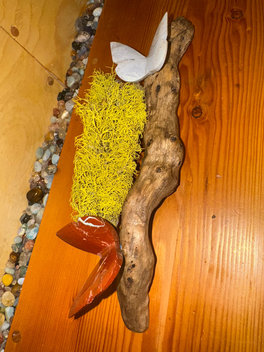 Beautiful agate and Jasper 3D butterflies on drift wood from the Montana.