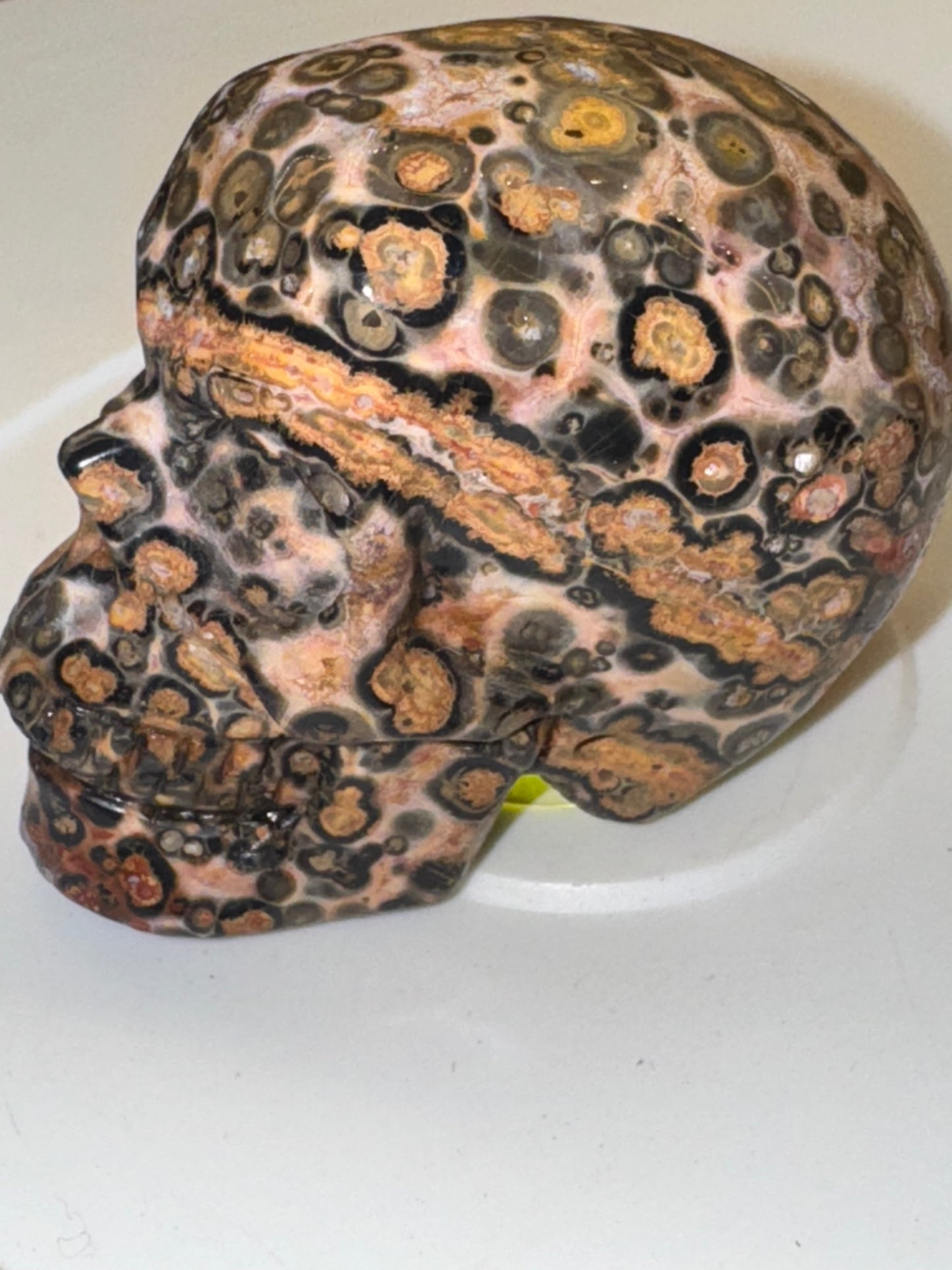 Leopard skin Jasper