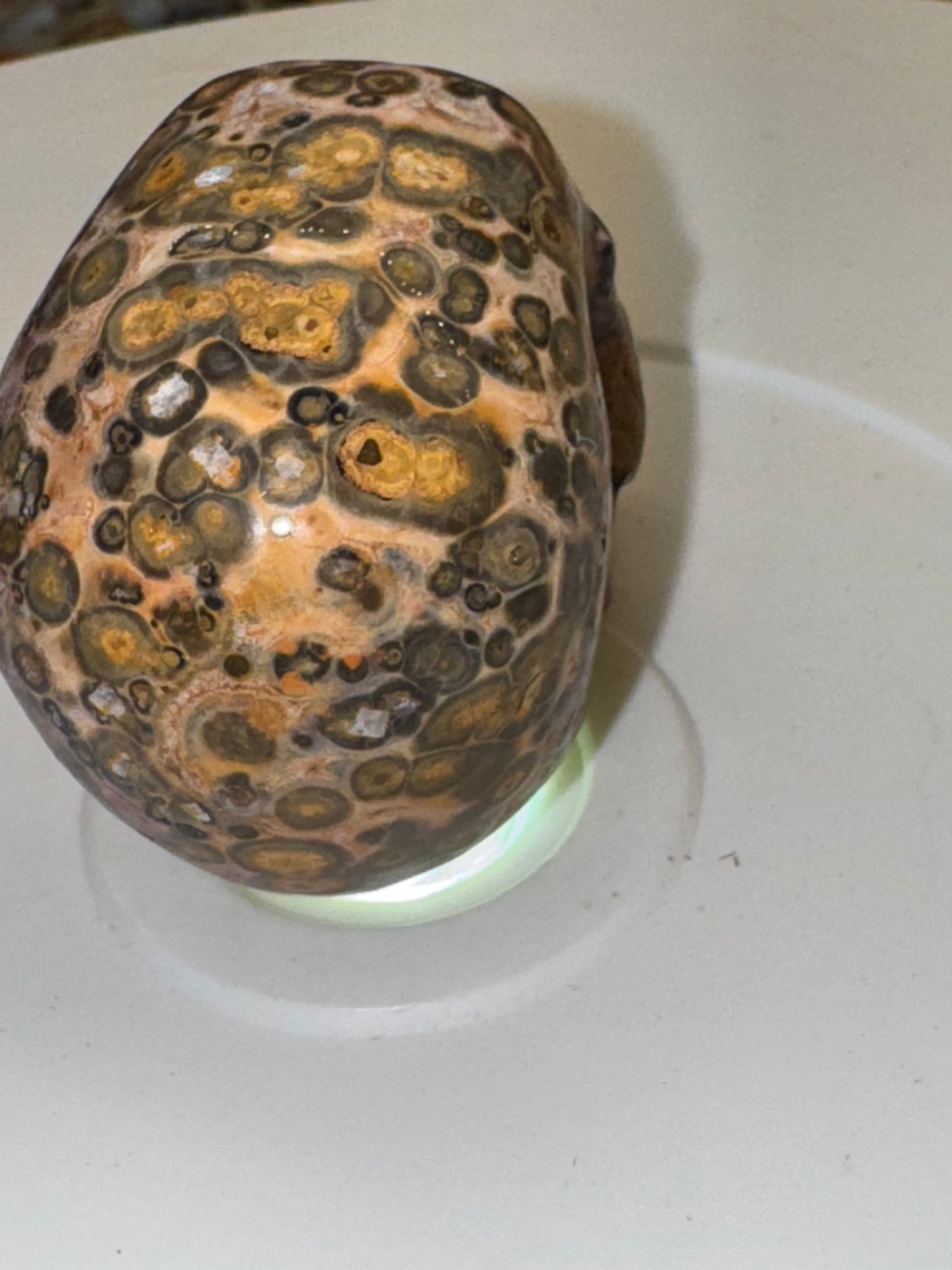 Leopard skin Jasper