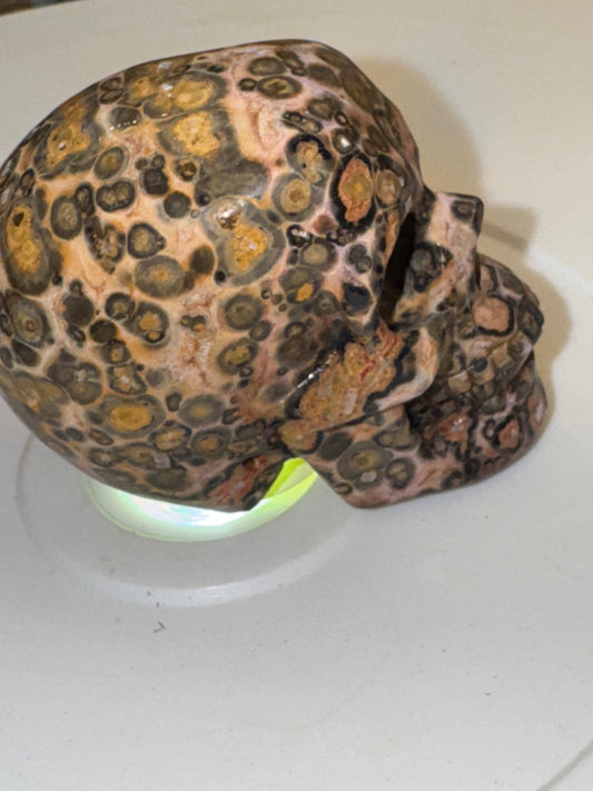 Leopard skin Jasper